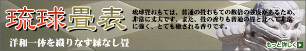 琉球畳表 洋和いったいを織り成す縁なし畳