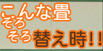 こんな畳そろそろ替え時