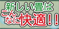 新しい畳はこんなに快適